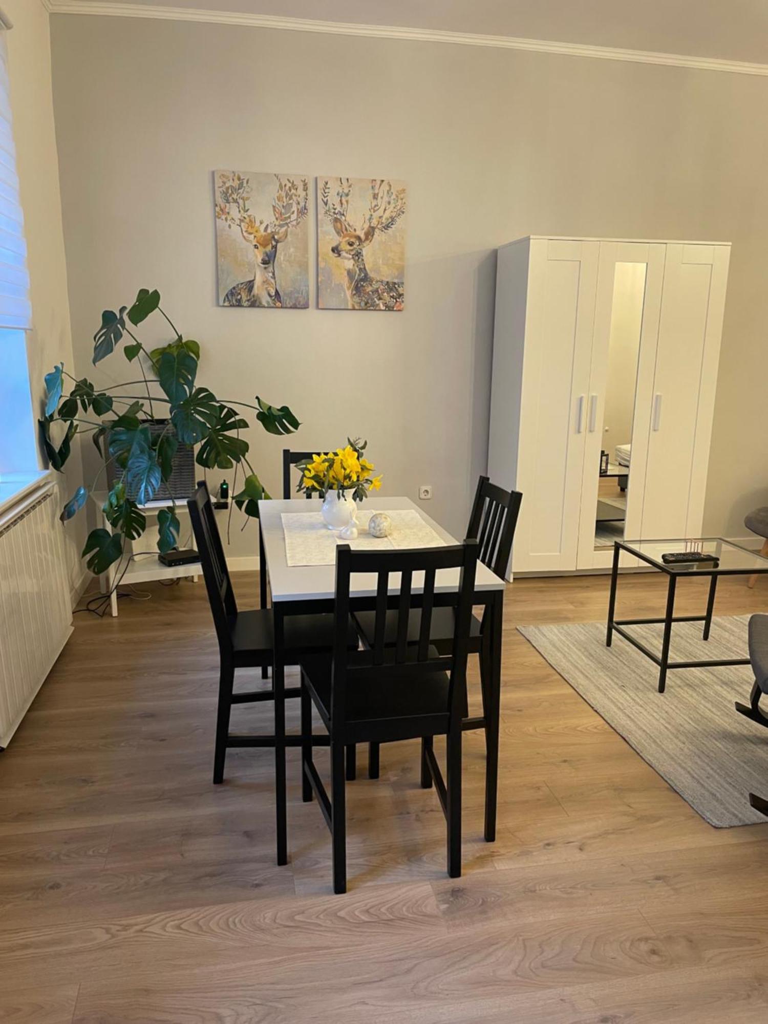Zwinger Apartman Sopron Bagian luar foto